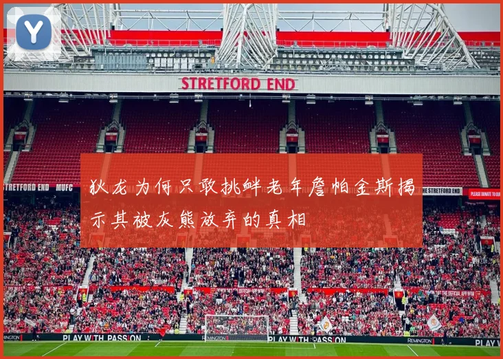 狄龙为何只敢挑衅老年詹帕金斯揭示其被灰熊放弃的真相