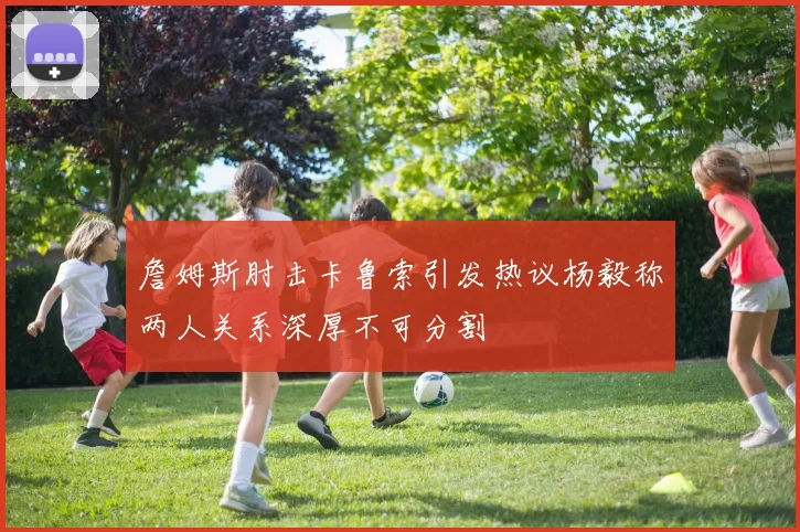 詹姆斯肘击卡鲁索引发热议杨毅称两人关系深厚不可分割